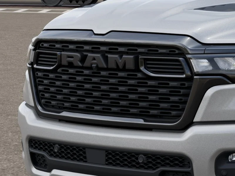New 2026 Silver Zynith Exterior Paint RAM  image 7
