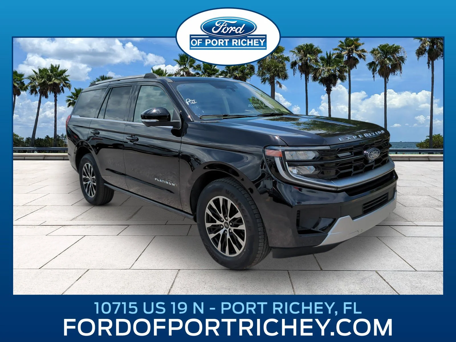 2025 Ford Expedition Platinum 4x4's photo