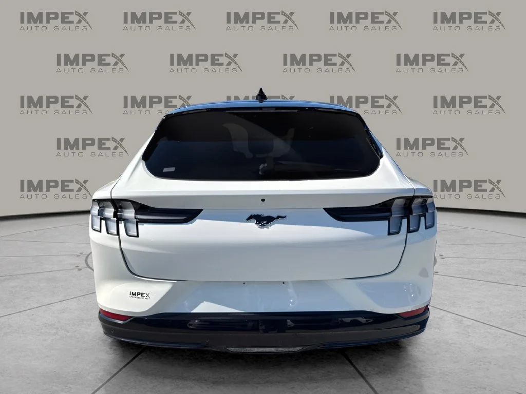Used 2023 White Ford Premium image 4