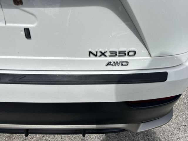 2024 Lexus NX 350 - Photo 25