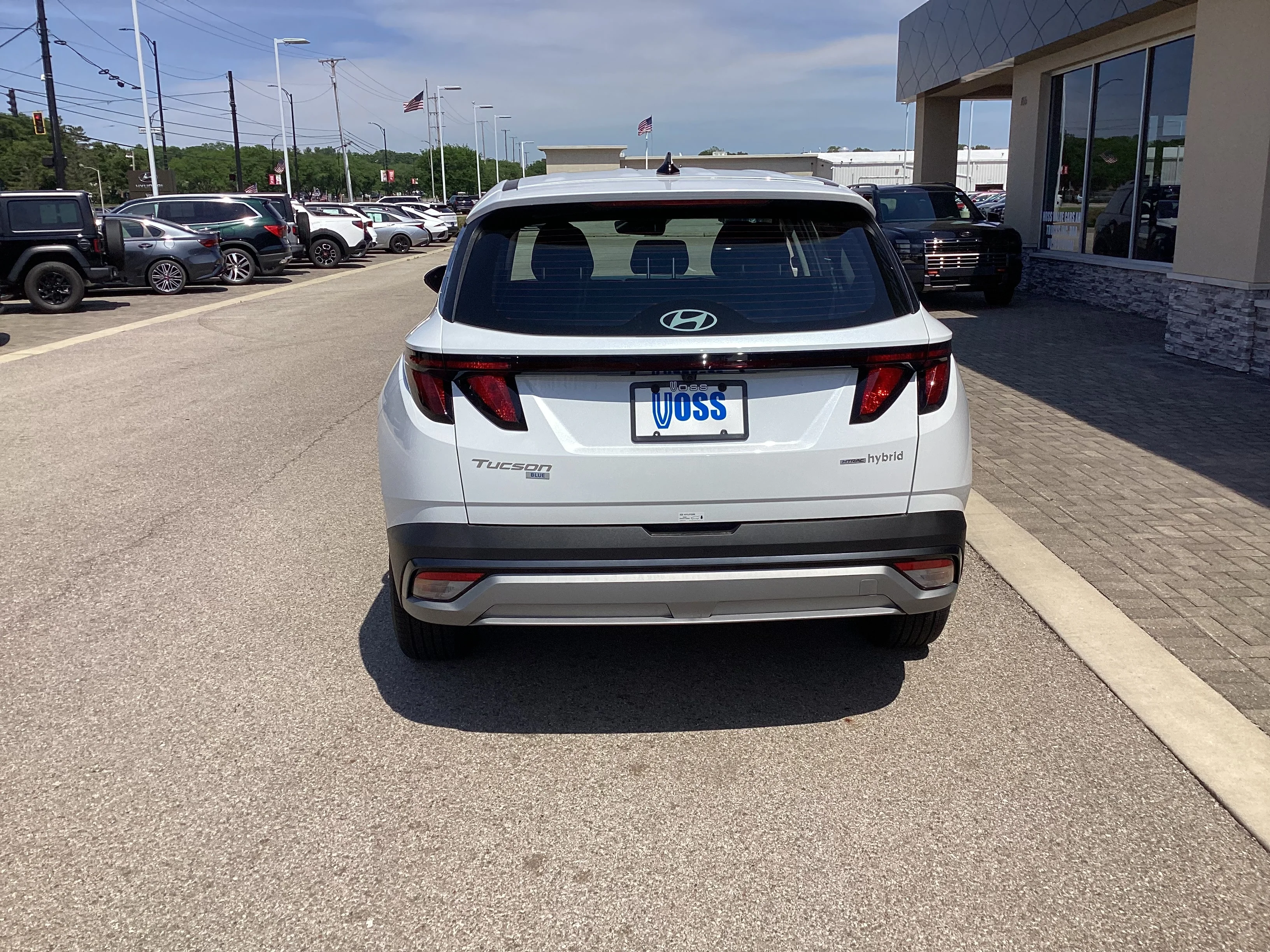 New 2026 Creamy White Pearl Hyundai Blue SE image 10