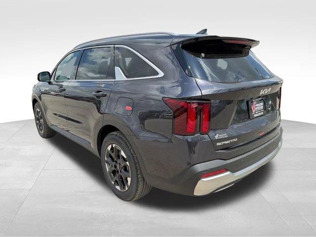 New 2026 Panthera Metal Kia S image 5