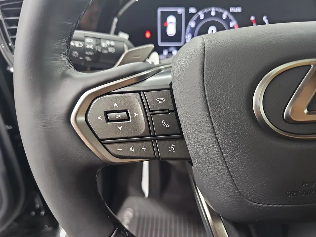 New 2026 Caviar Lexus PREMIUM image 16