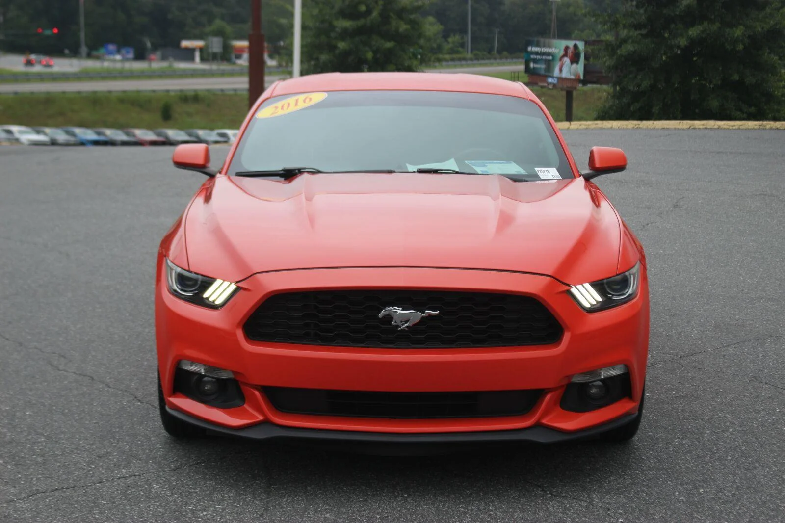 Used 2016  Ford V6 image 2
