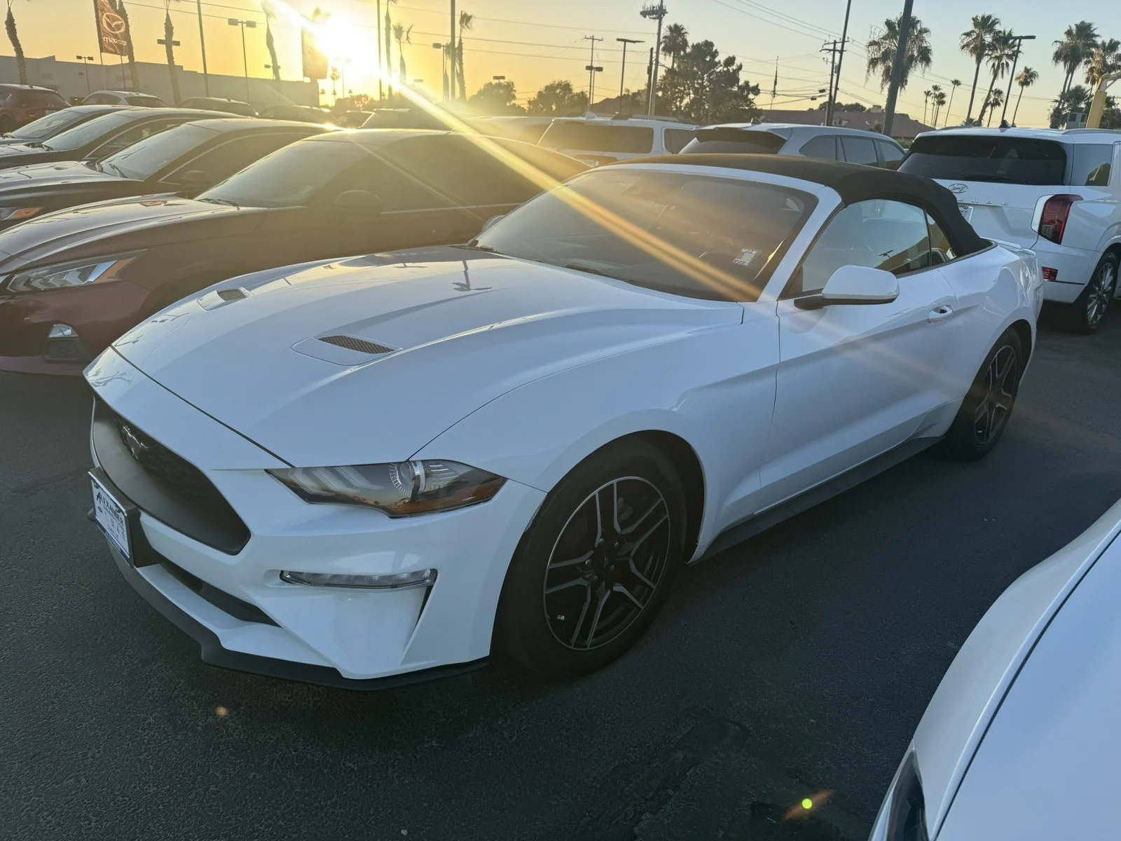 Used 2023  Ford EcoBoost image 1