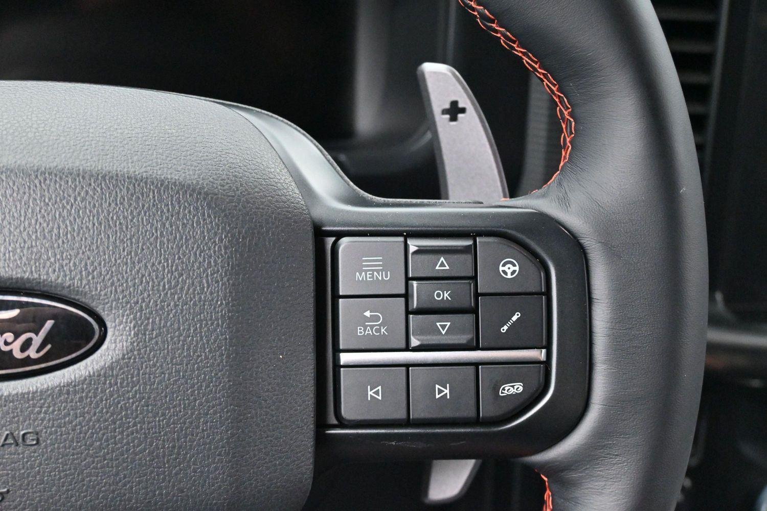 Used 2024 Avalanche Gray Ford Raptor image 20