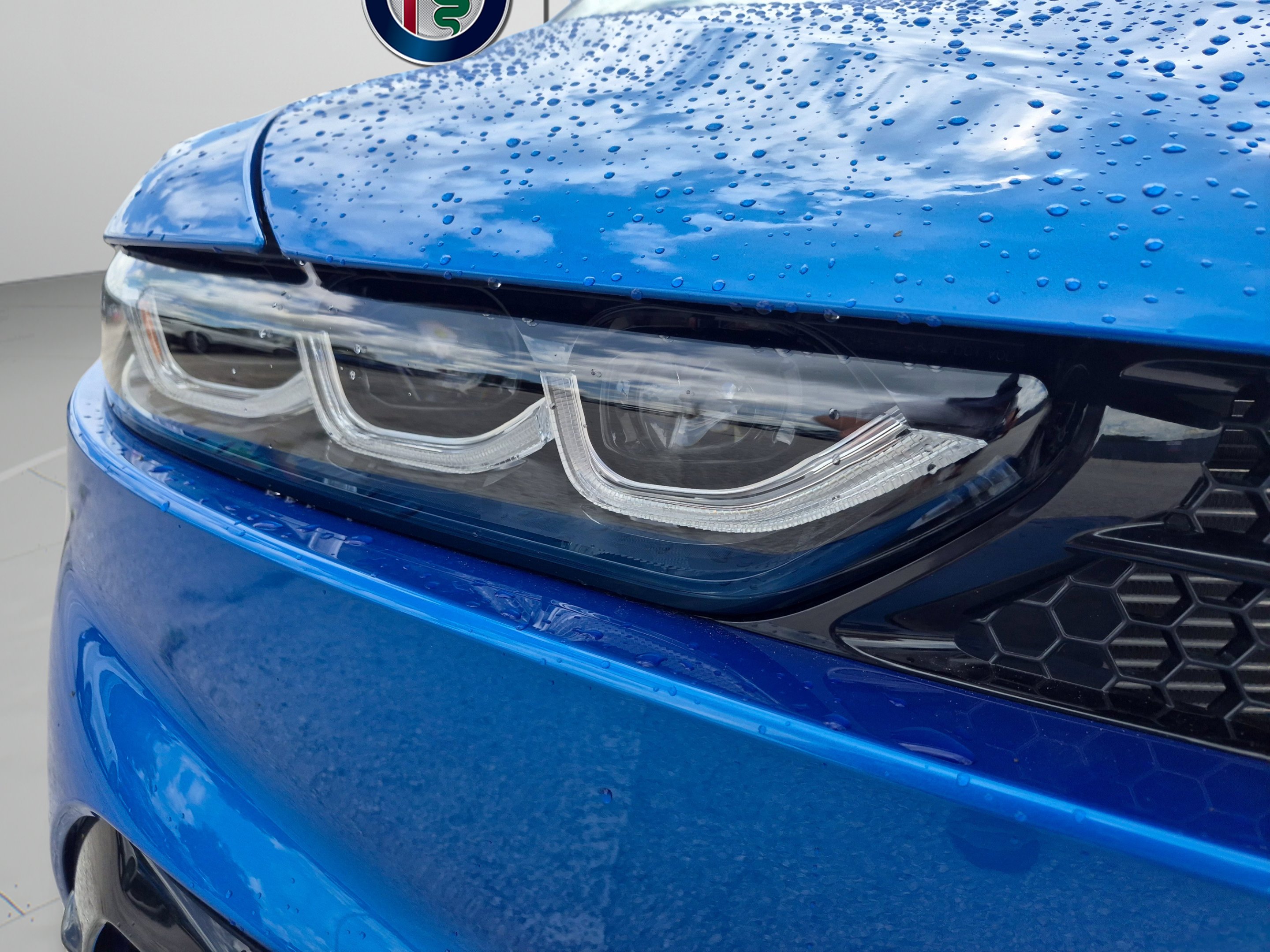 New 2026 Misano Blue Metallic Alfa Romeo Sport Speciale image 59