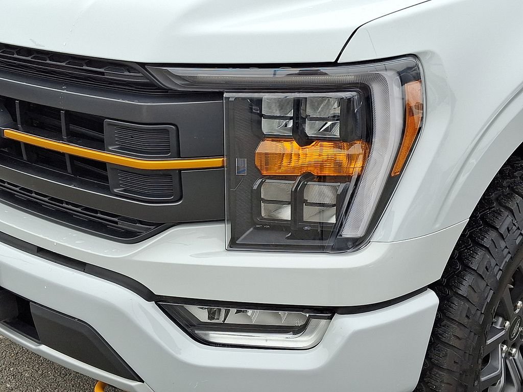 2023 Ford F-150 Tremor - Photo 10