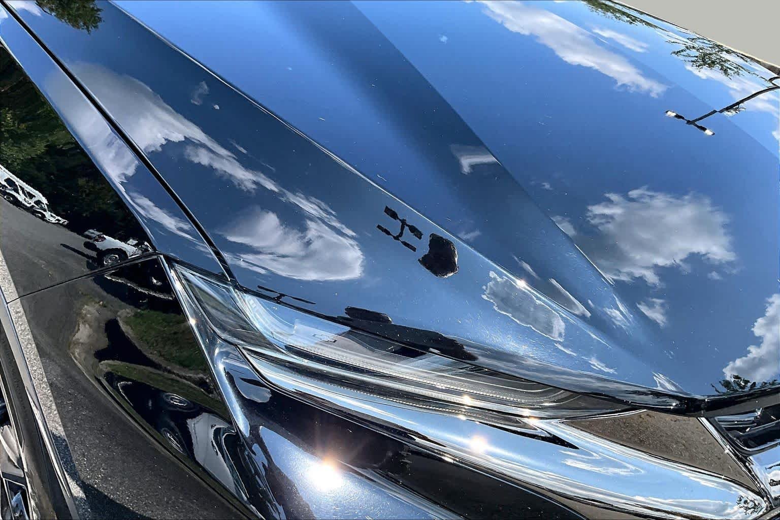 Certified Used 2019 Black Chevrolet  image 26