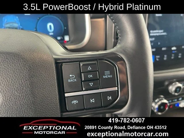 Used 2025 Gray Ford Platinum image 38