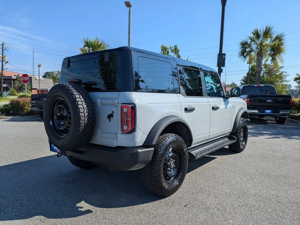 New 2026 Avalanche Gray Ford Outer Banks image 4