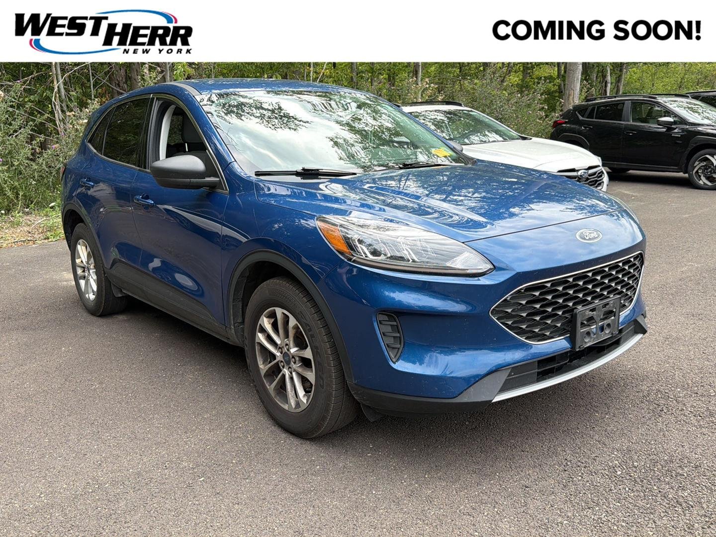 Used 2022 Atlas Blue Ford SE image 1