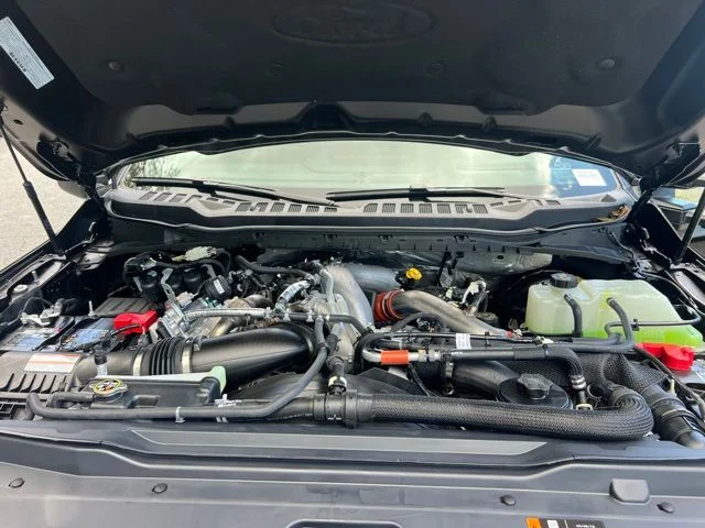 2025 Ford F-250 Super Duty Platinum - Photo 29