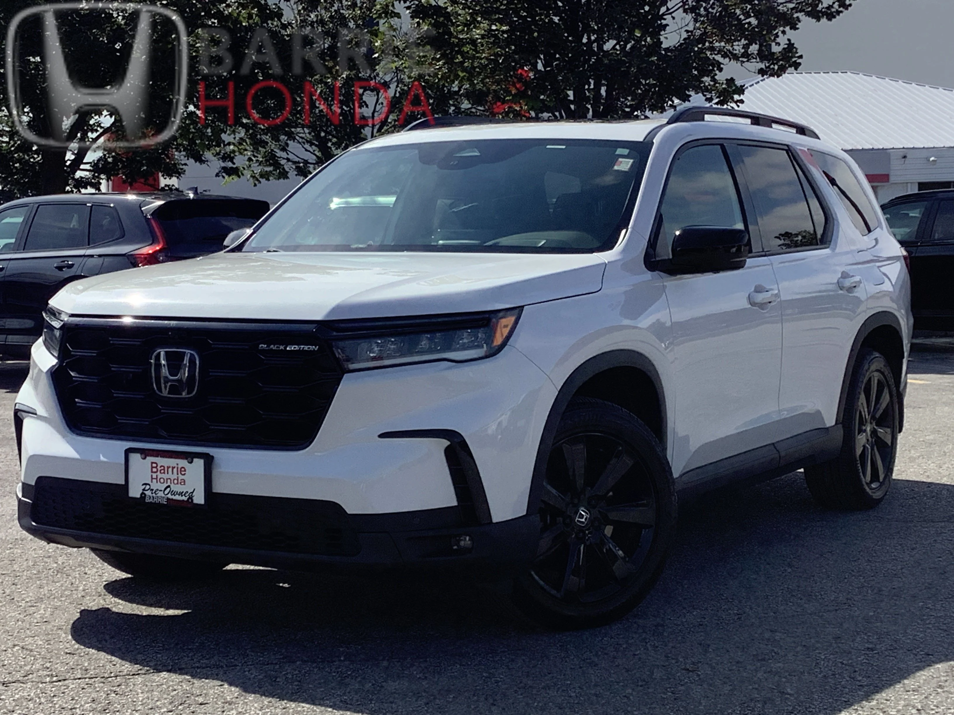 Used 2024 PLATINUM WHITE PEARL Honda Black Edition image 1