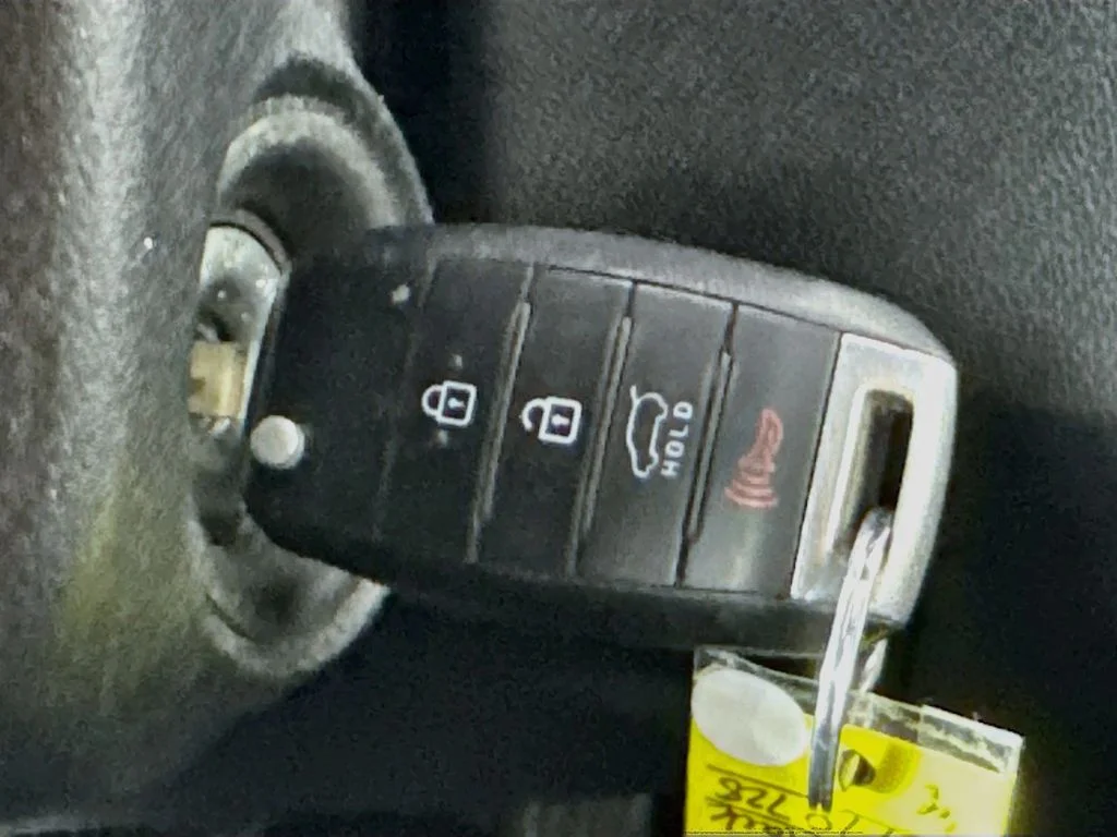 Used 2019 Black Kia L image 19