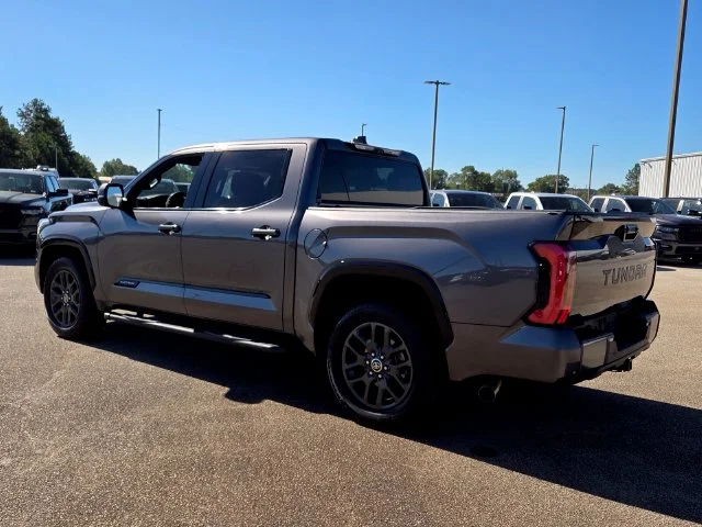 Used 2022 Gray Toyota Platinum image 10
