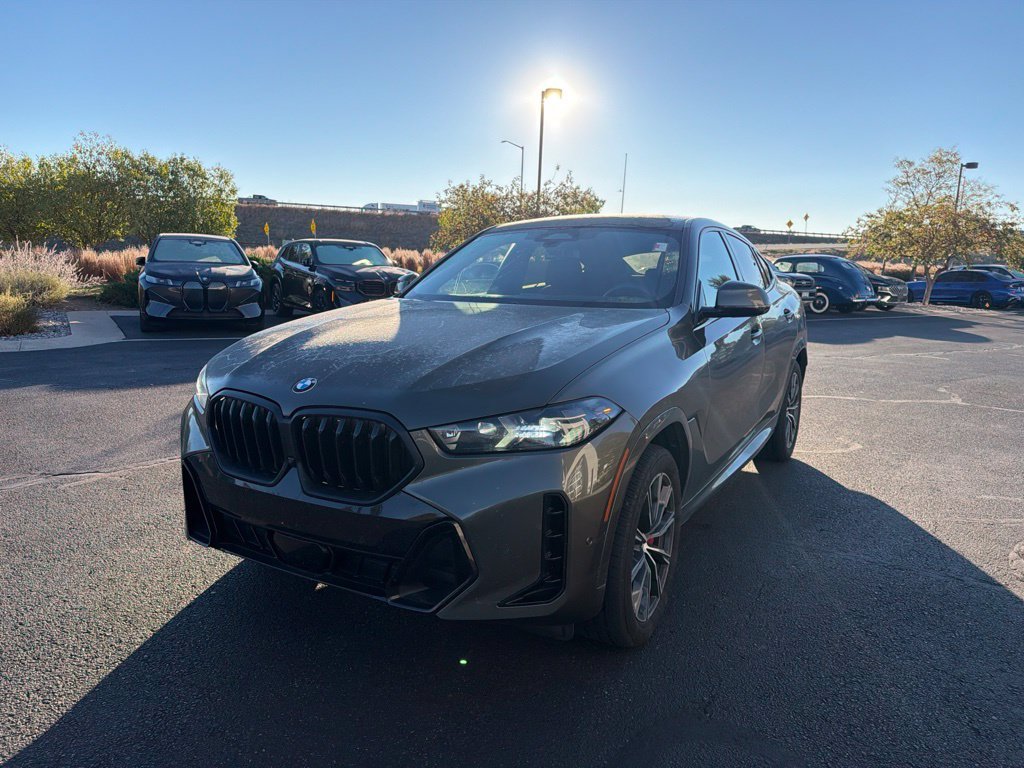 2024 BMW X6
