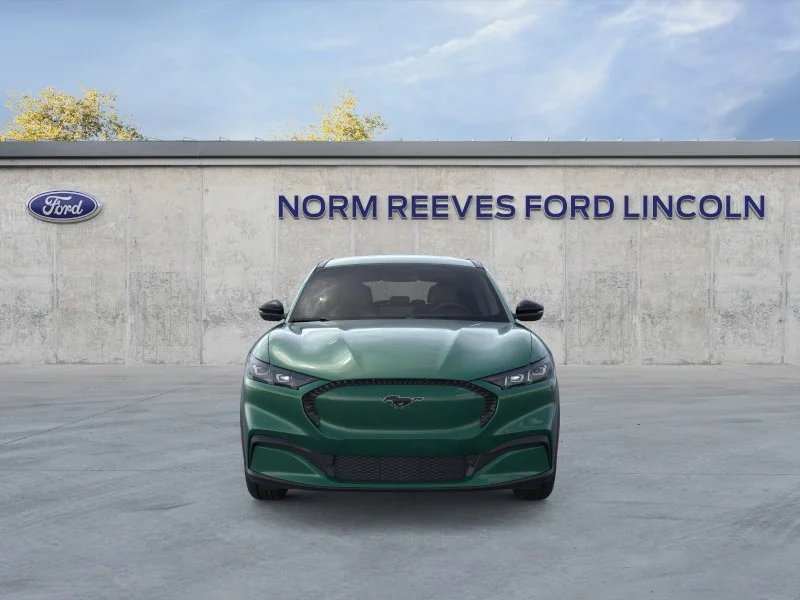 New 2026 Eruption Green Metallic Ford Select image 35