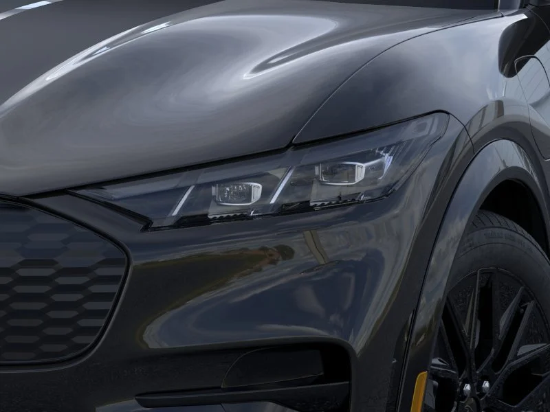 New 2026 Shadow Black Ford Premium image 18