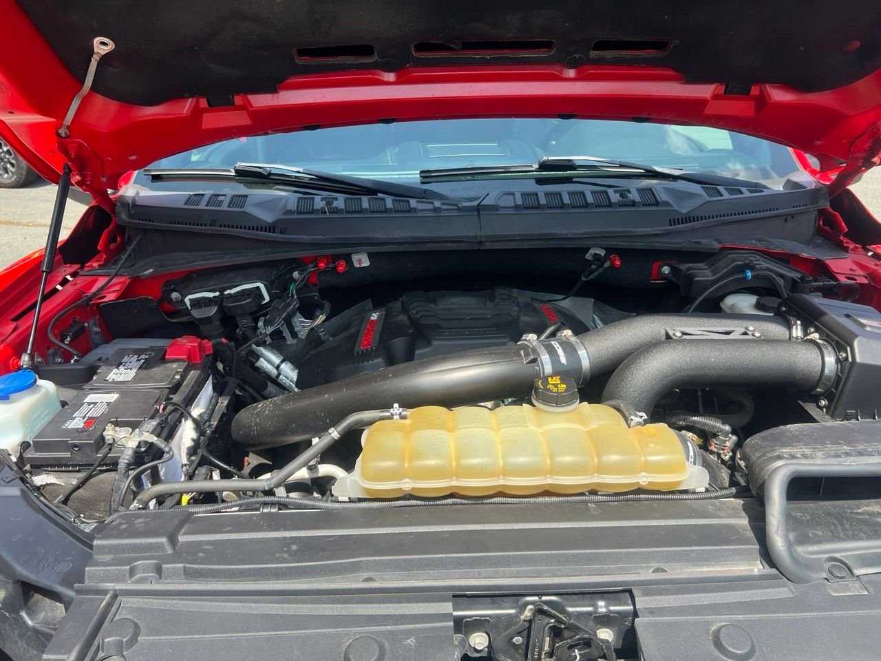 Used 2019 Red Ford Raptor image 12
