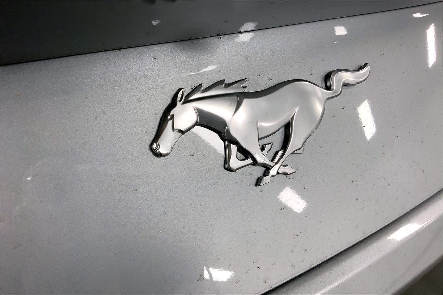 New 2026 Iconic Silver Metallic Ford EcoBoost® Fastback image 12