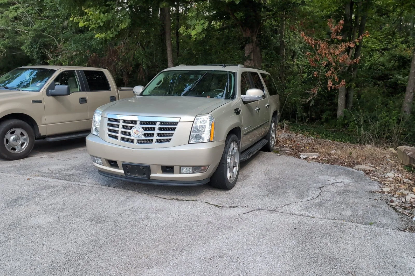 Used 2014 SILVER COAST METALLIC Cadillac Luxury image 7