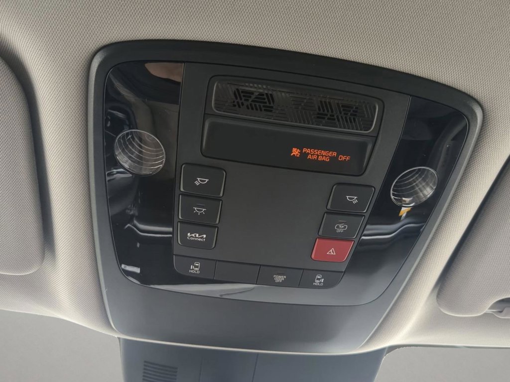 New 2026 Panthera Metal Kia LX image 22