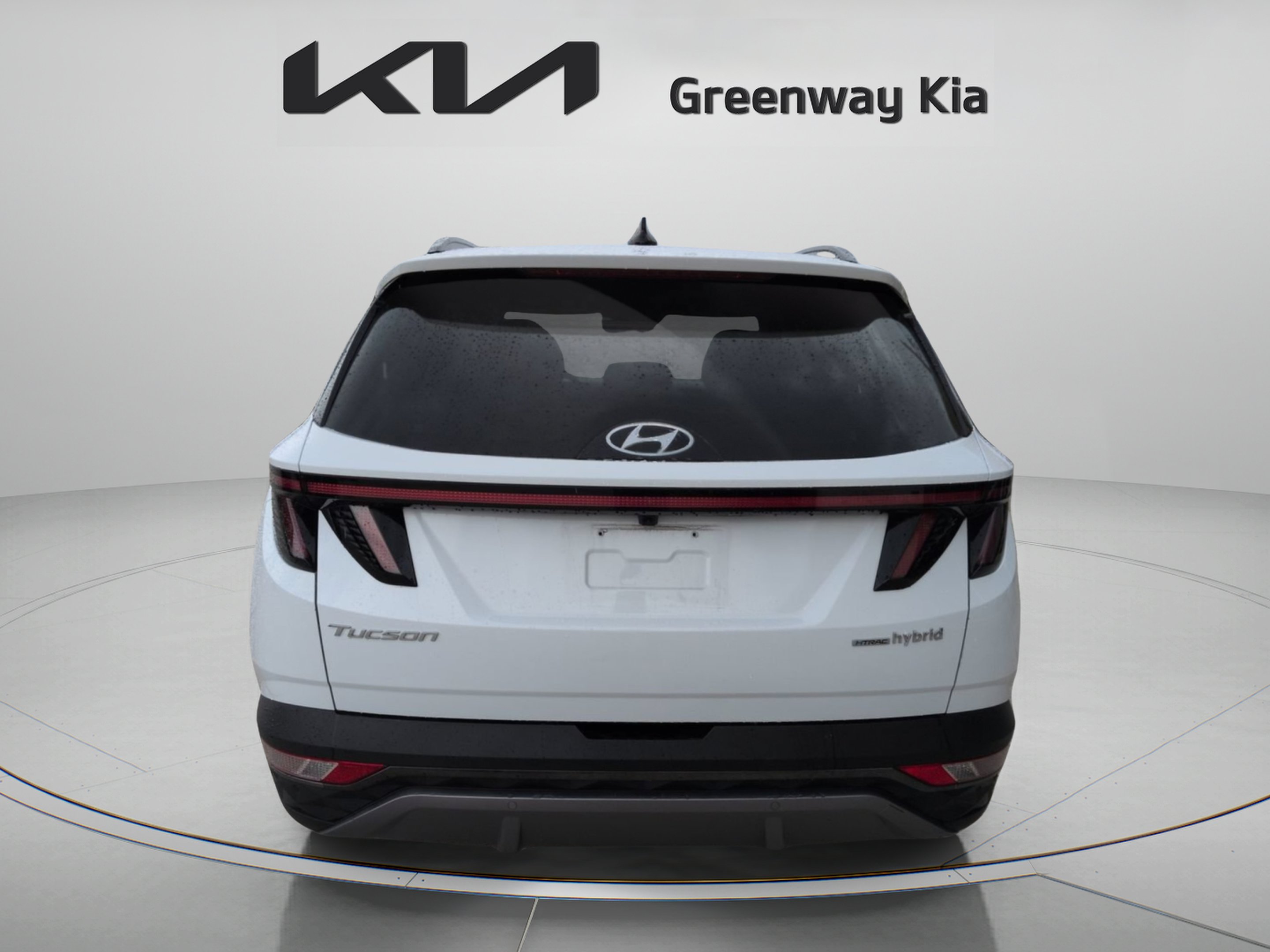 Used 2024 White Pearl Hyundai Limited image 7