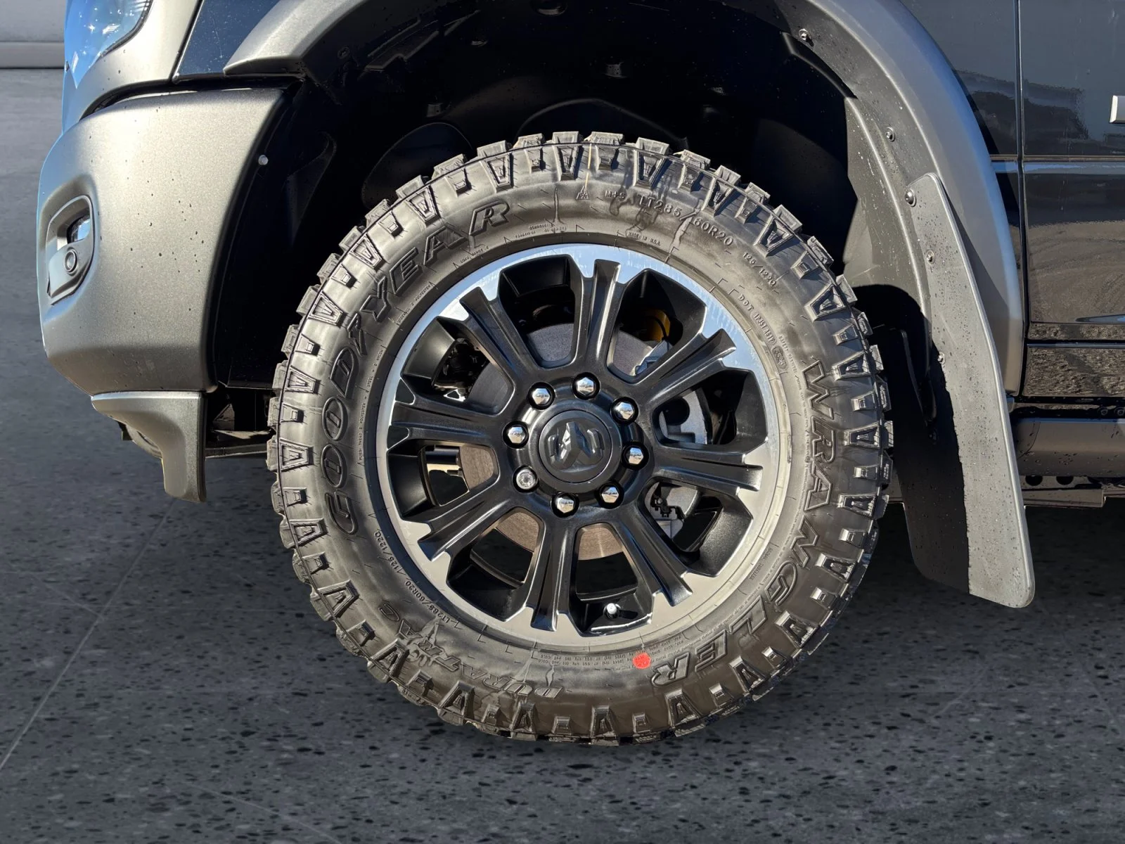 New 2027 Diamond Black Crystal Pearl Ram Rebel image 9