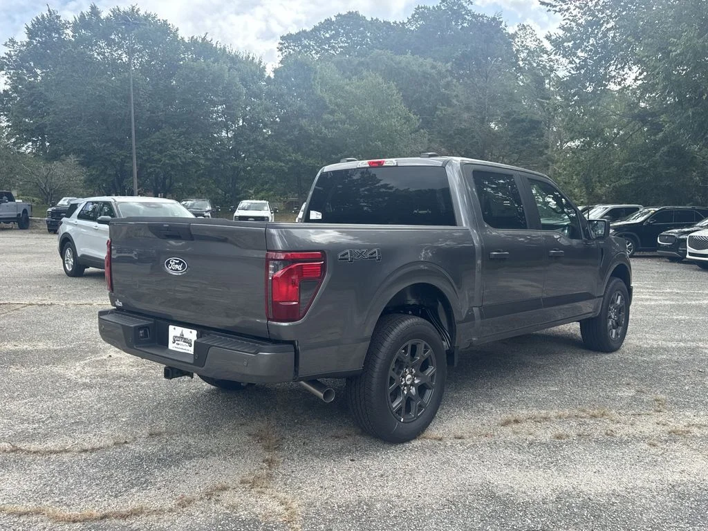 New 2026 Gray Ford STX image 7