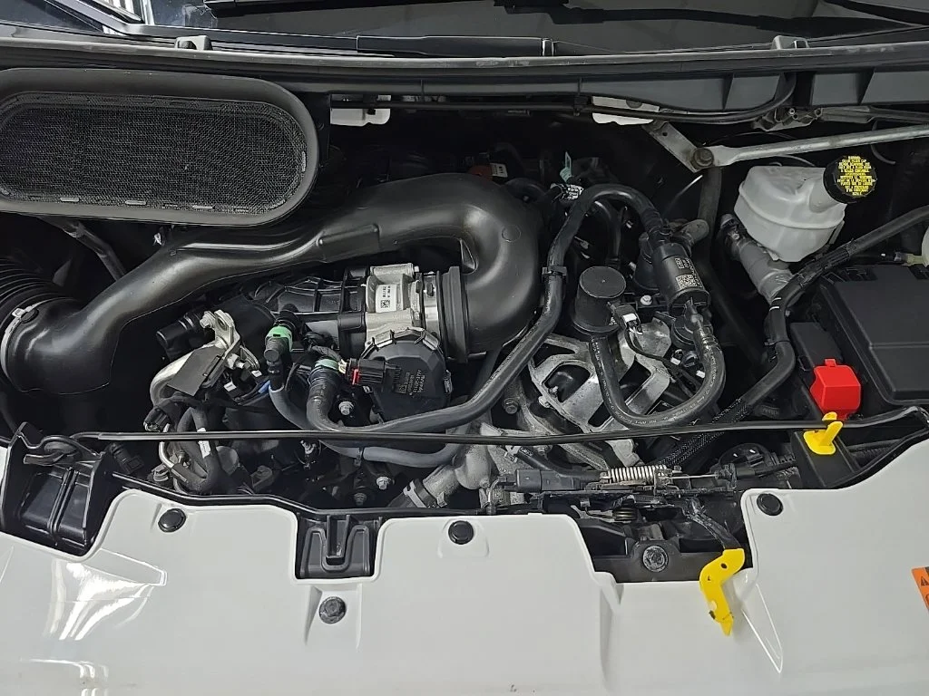 Used 2025 White Ford Base image 14