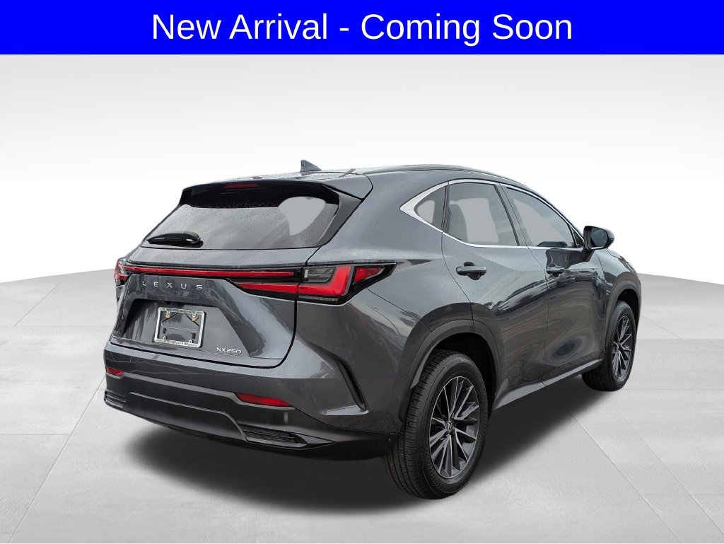 Used 2024 Gray Lexus 250 Premium image 2