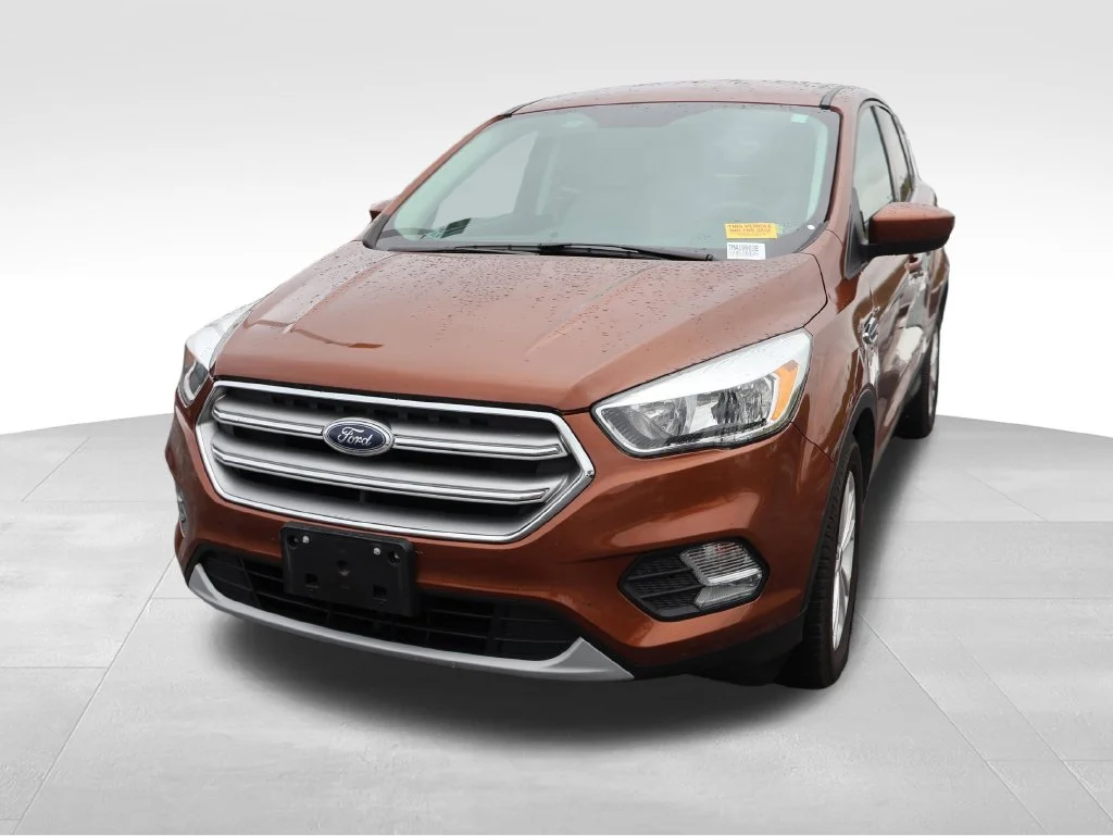 Used 2017 Canyon Ridge Metallic Ford SE image 3