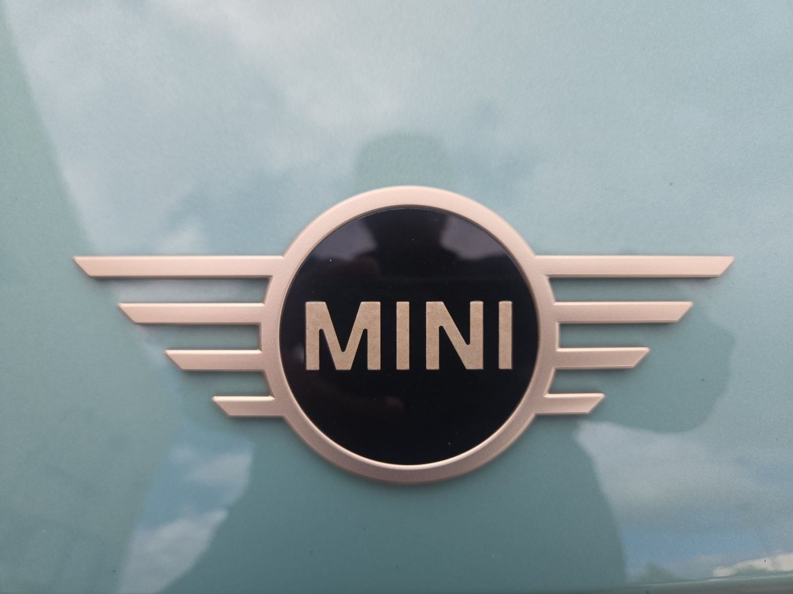 Used 2025 Green MINI  image 9