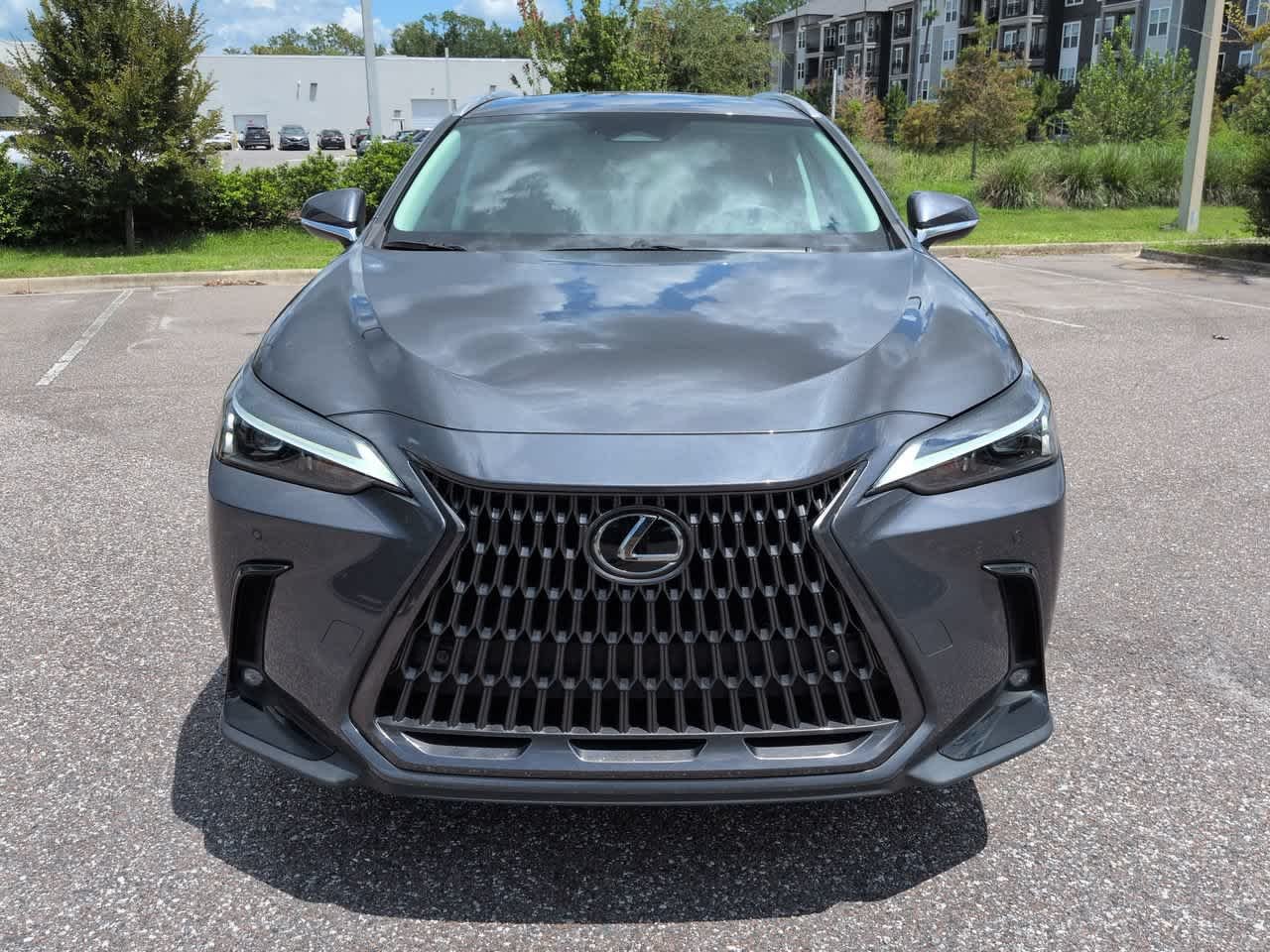 Used 2024 Cloudburst Gray Lexus Premium image 9