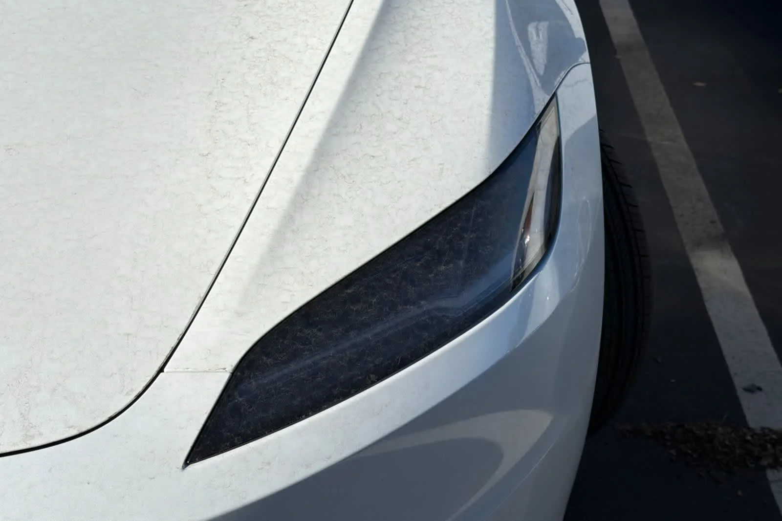 Used 2025  Tesla Long Range image 10