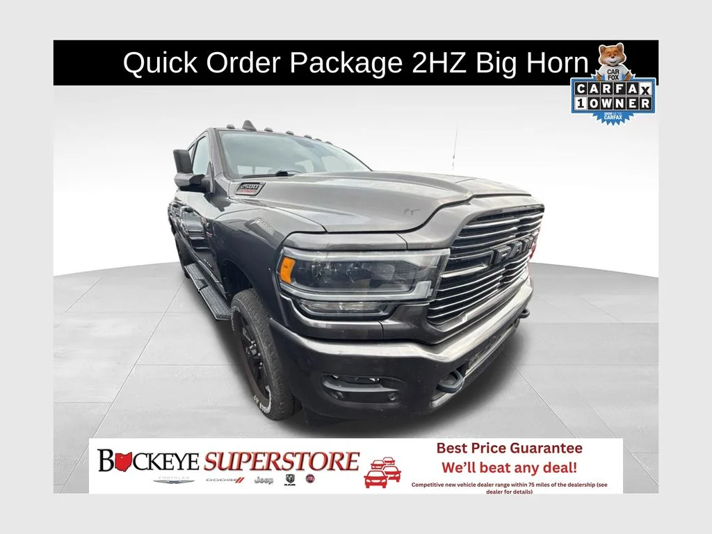 Used 2020 Gray Ram Big Horn image 1