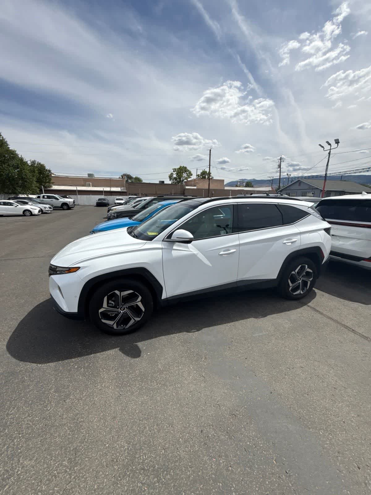2024 Hyundai Tucson Limited HEV AWD's photo