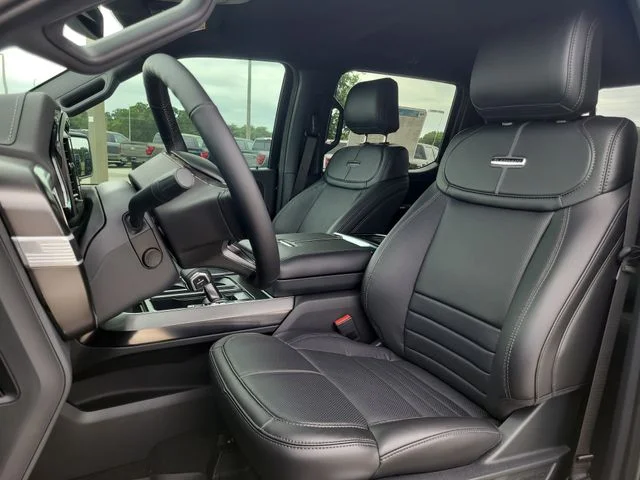 New 2026 Black Metallic Ford Platinum image 19