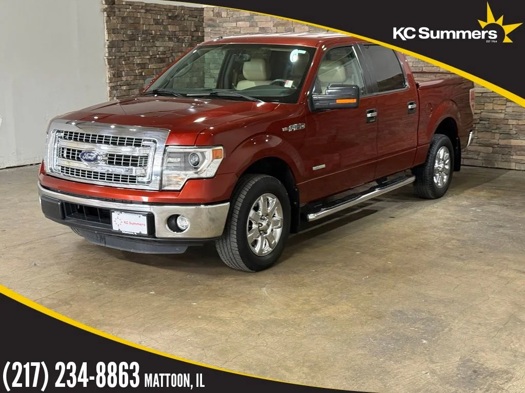 Used 2014 Sunset Ford XLT image 1