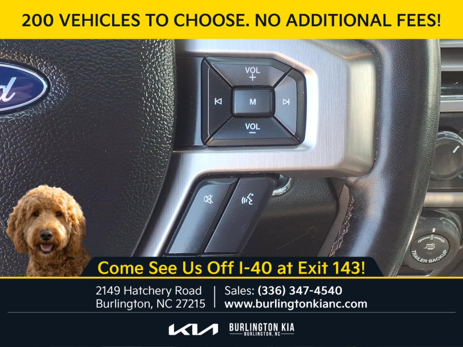 Used 2020 Blue Ford Platinum image 21