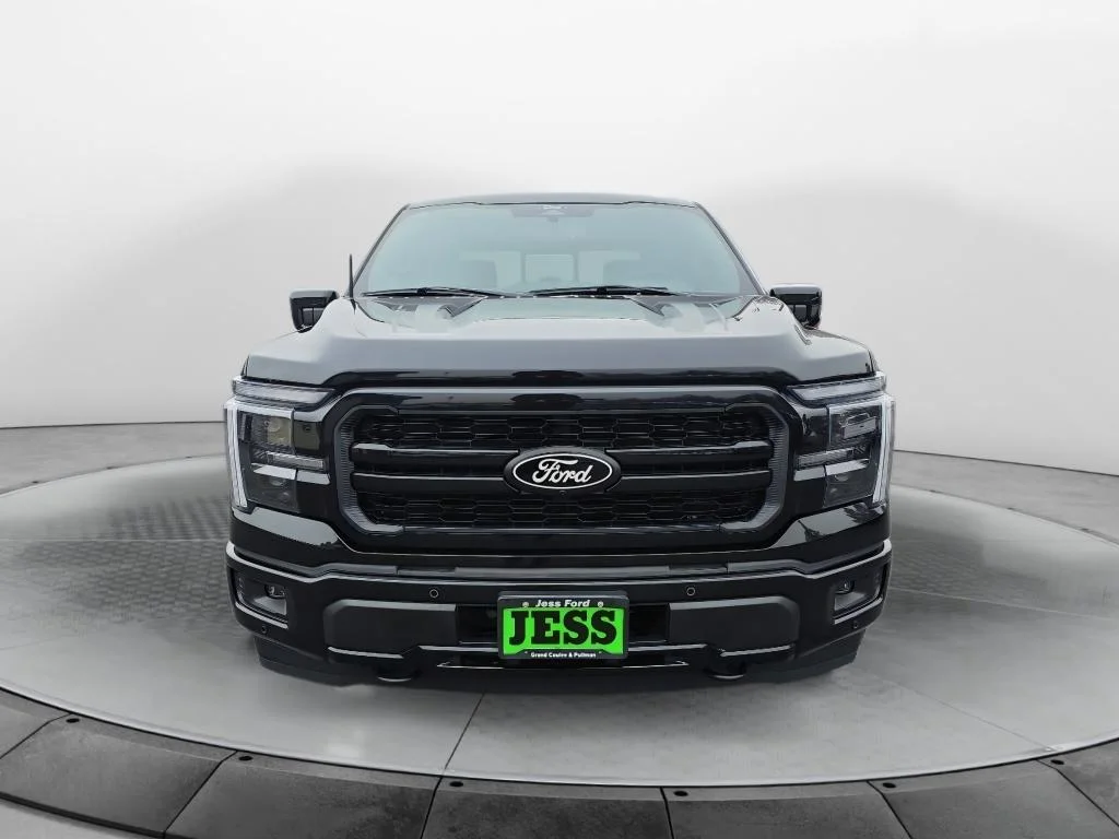 New 2025 Agate Black Metallic Ford FP 700 image 9