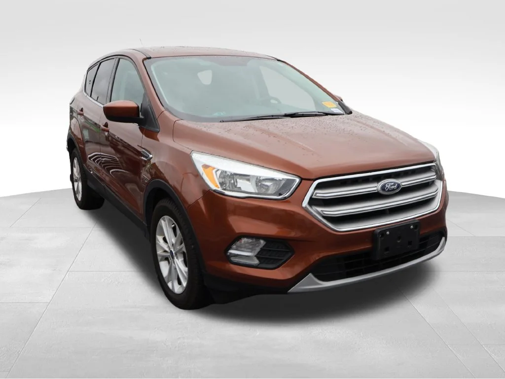 Used 2017 Canyon Ridge Metallic Ford SE image 11