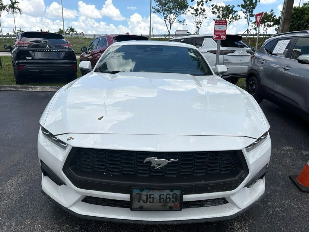 Used 2024 Oxford White Ford EcoBoost image 2