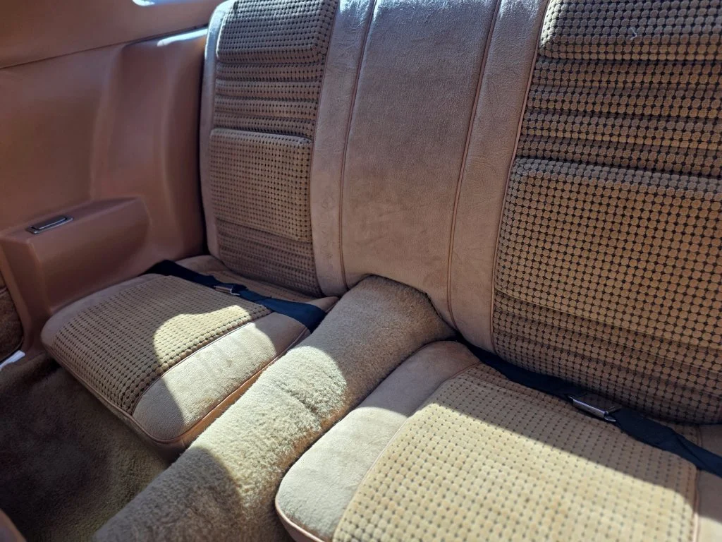 Used 1979 Gold Pontiac Trans Am image 13
