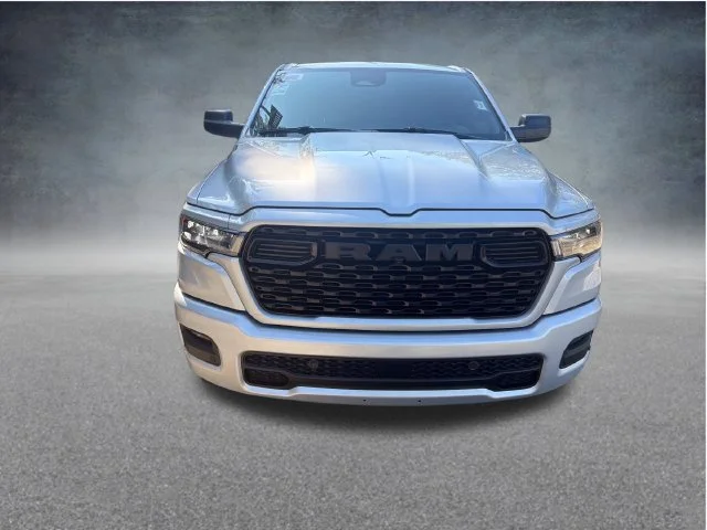 New 2027 Silver Zynith Exterior Paint RAM Express image 2