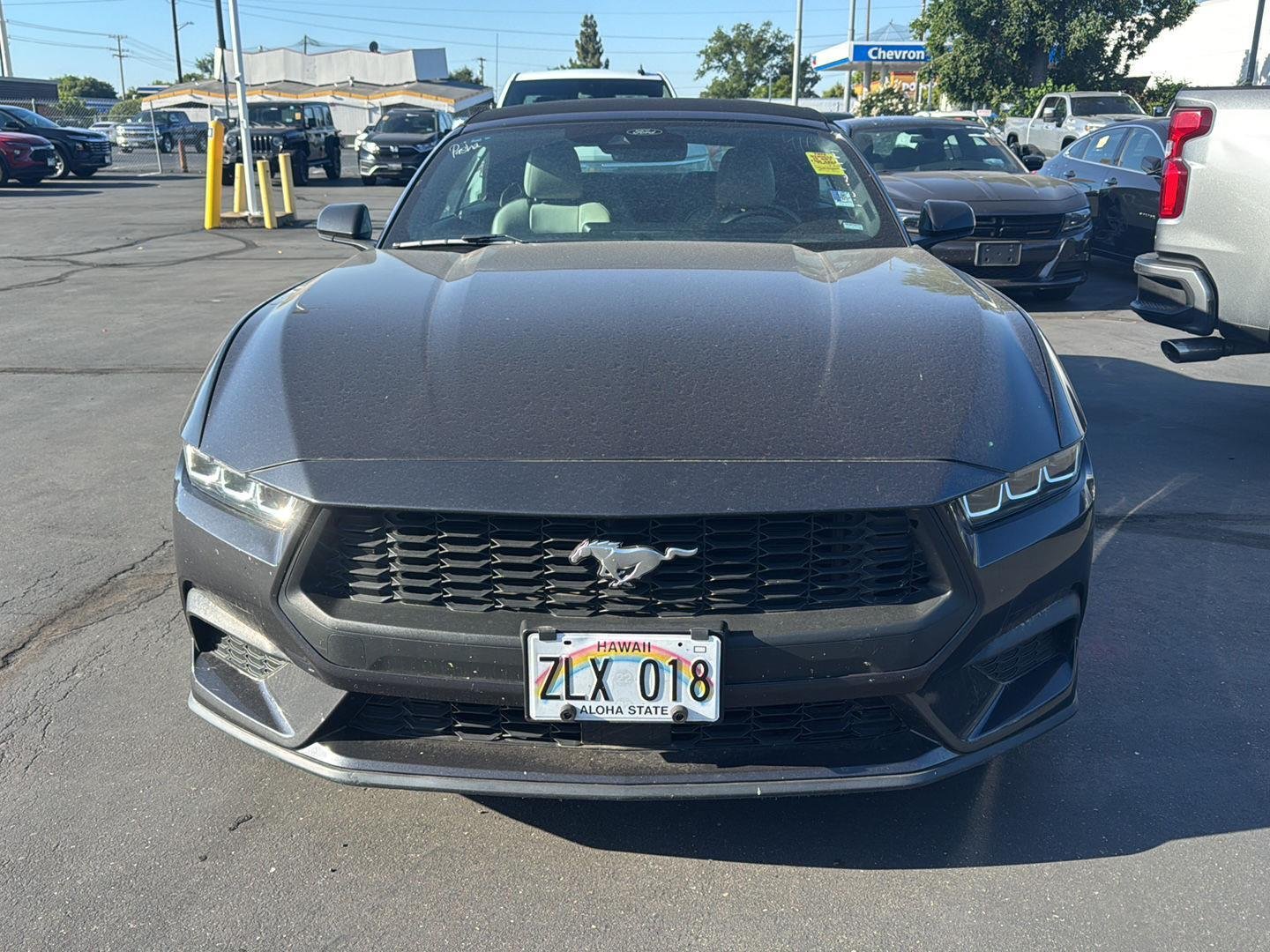 Used 2024  Ford EcoBoost image 2