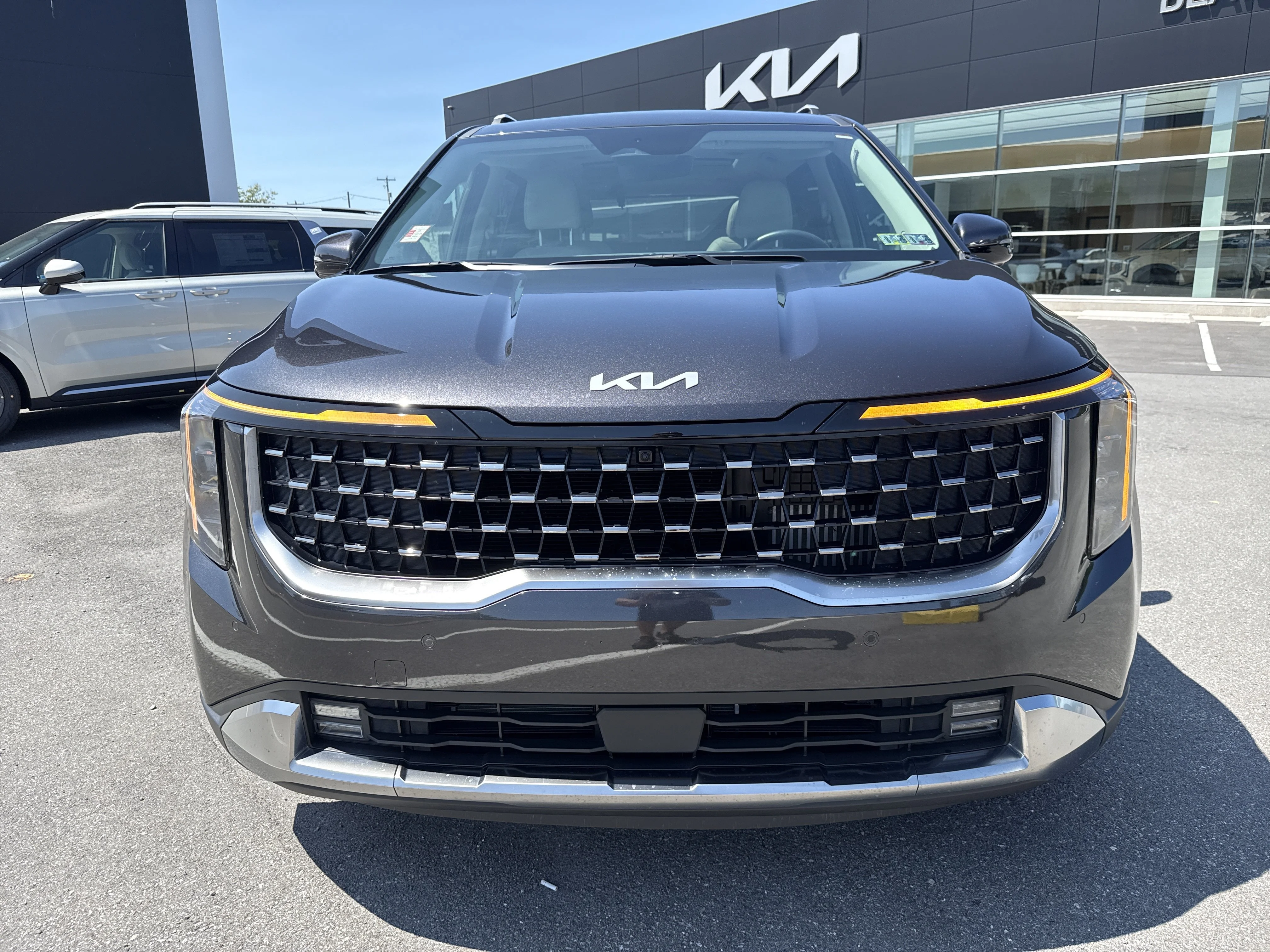 Used 2025 Panthera Metal Kia SX image 9