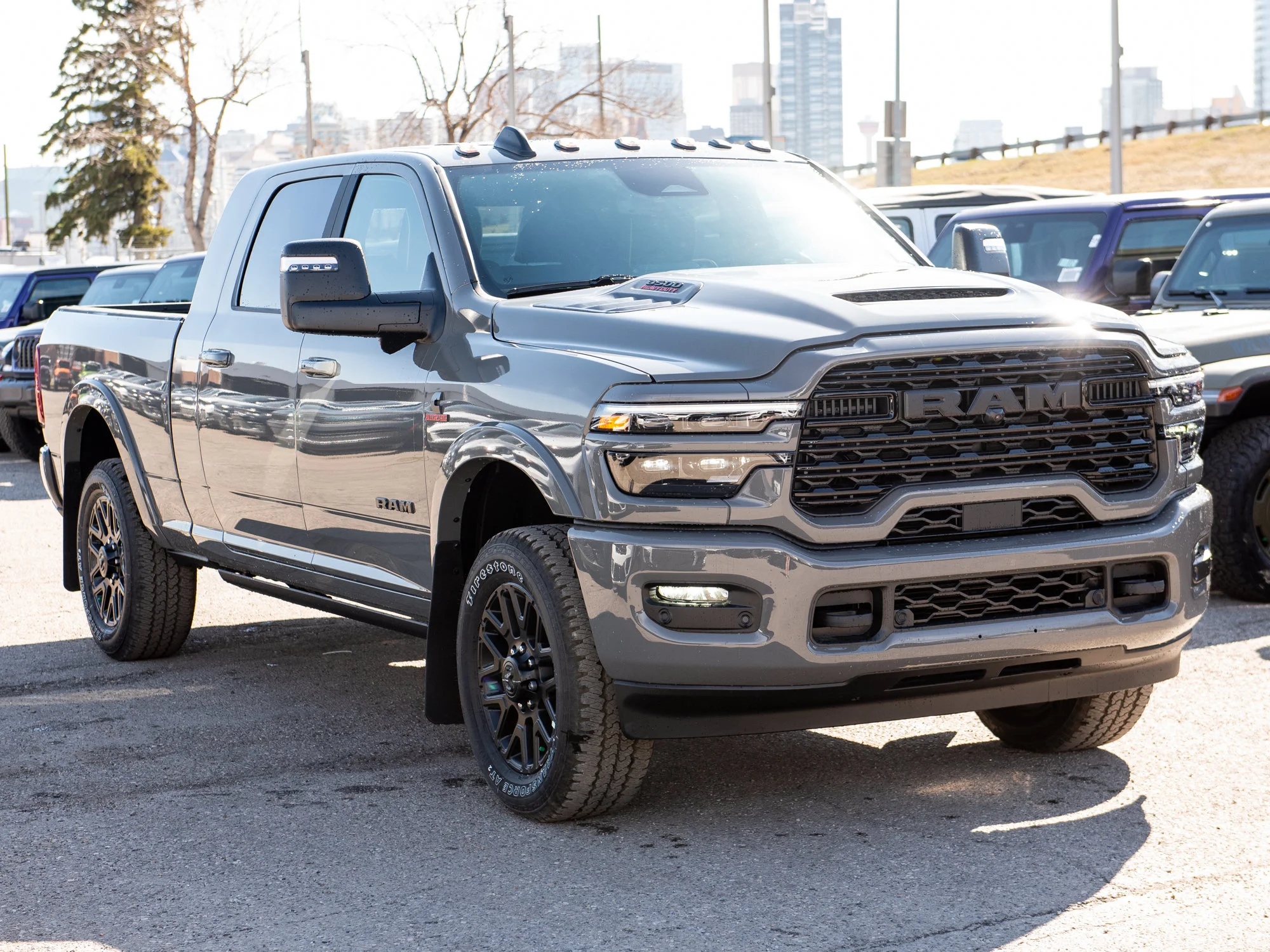 New 2026 Grey RAM Limited* image 10