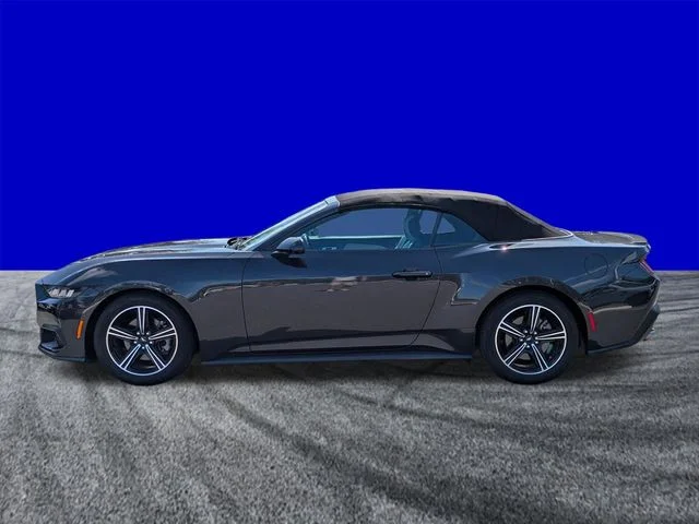 Certified Used 2024 Gray Metallic Ford EcoBoost Premium image 7